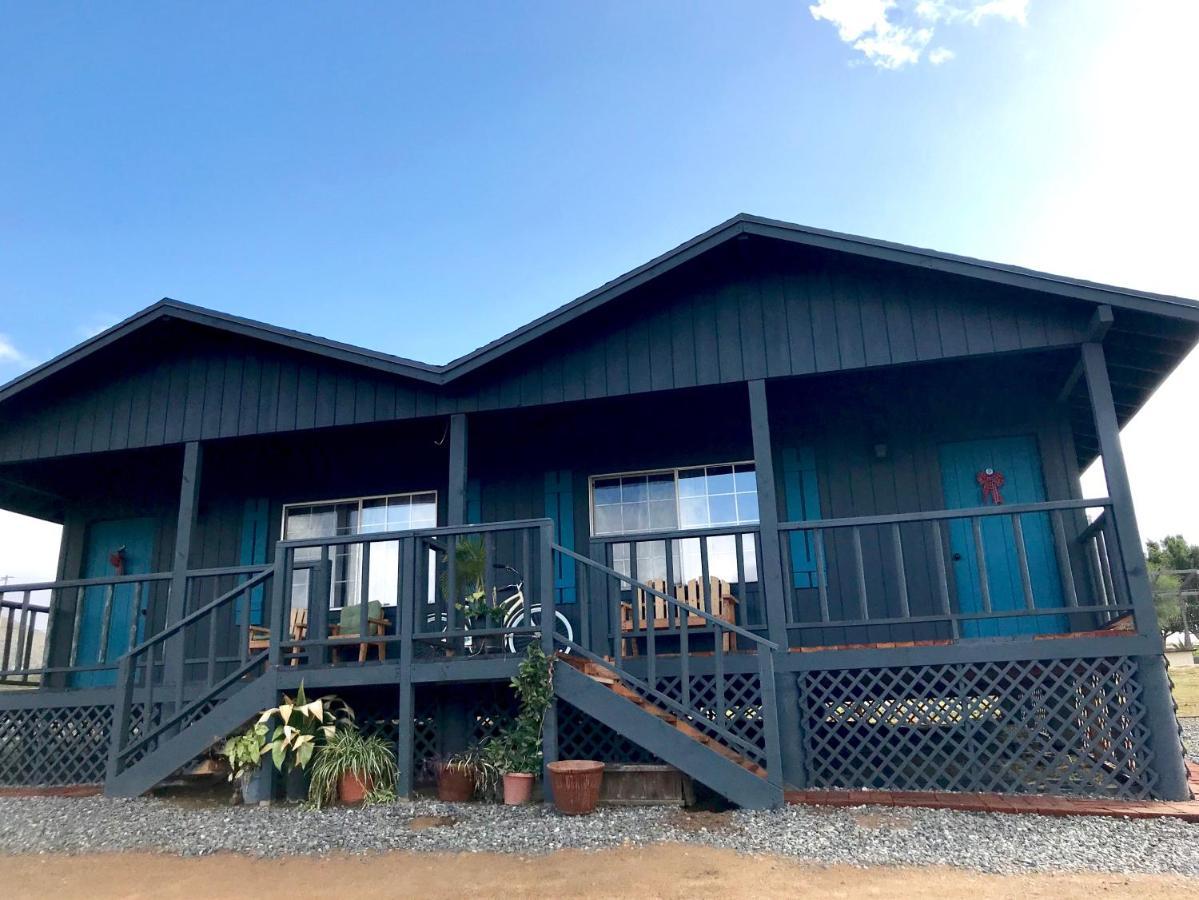 Bajo El Sol Del Valle Valle de Guadalupe Exterior foto